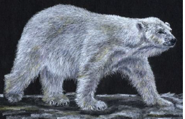 Karen Coulson's 'Coloured Pencil' Classes - Week 5