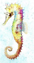 Karen Coulson's 'Coloured Pencil' Classes - Week 6