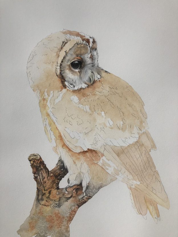 Helen Dowse Graphite Demo