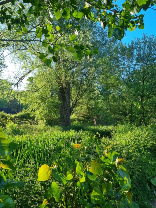 En Plein Air Outing - Fishlake Meadows Romsey