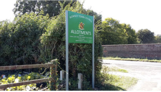 Plein Air outing to Romsey Allotments